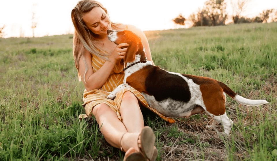 Houston Dogowner Held A Maternity Shoot For Pregnant Foster And It’s Adorably Wholesome