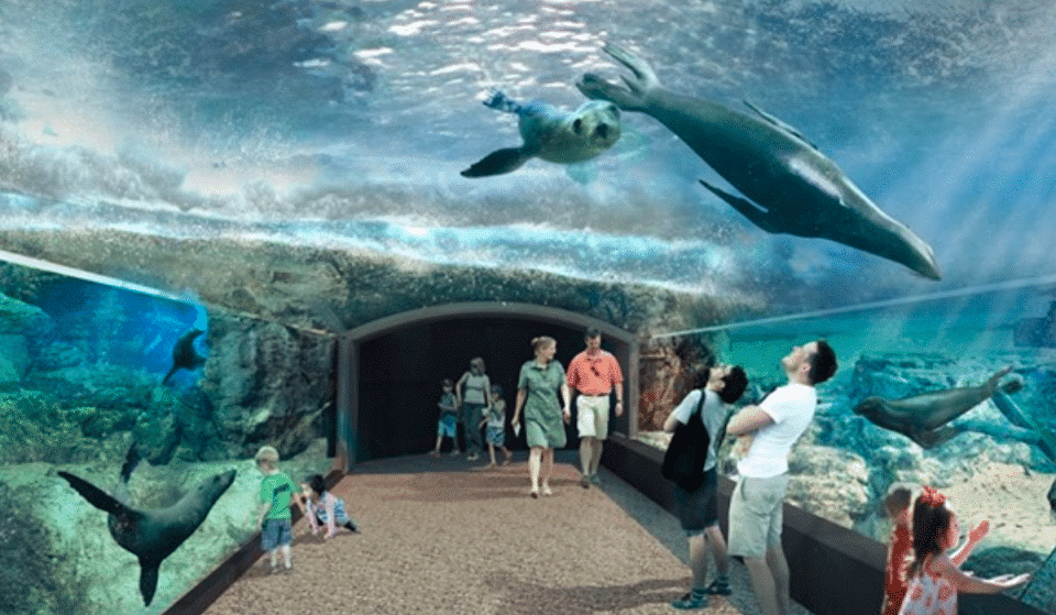 Houston Zoo Sets Opening Date For Cutting-Edge New ‘Galapagos Islands’ Exhibit