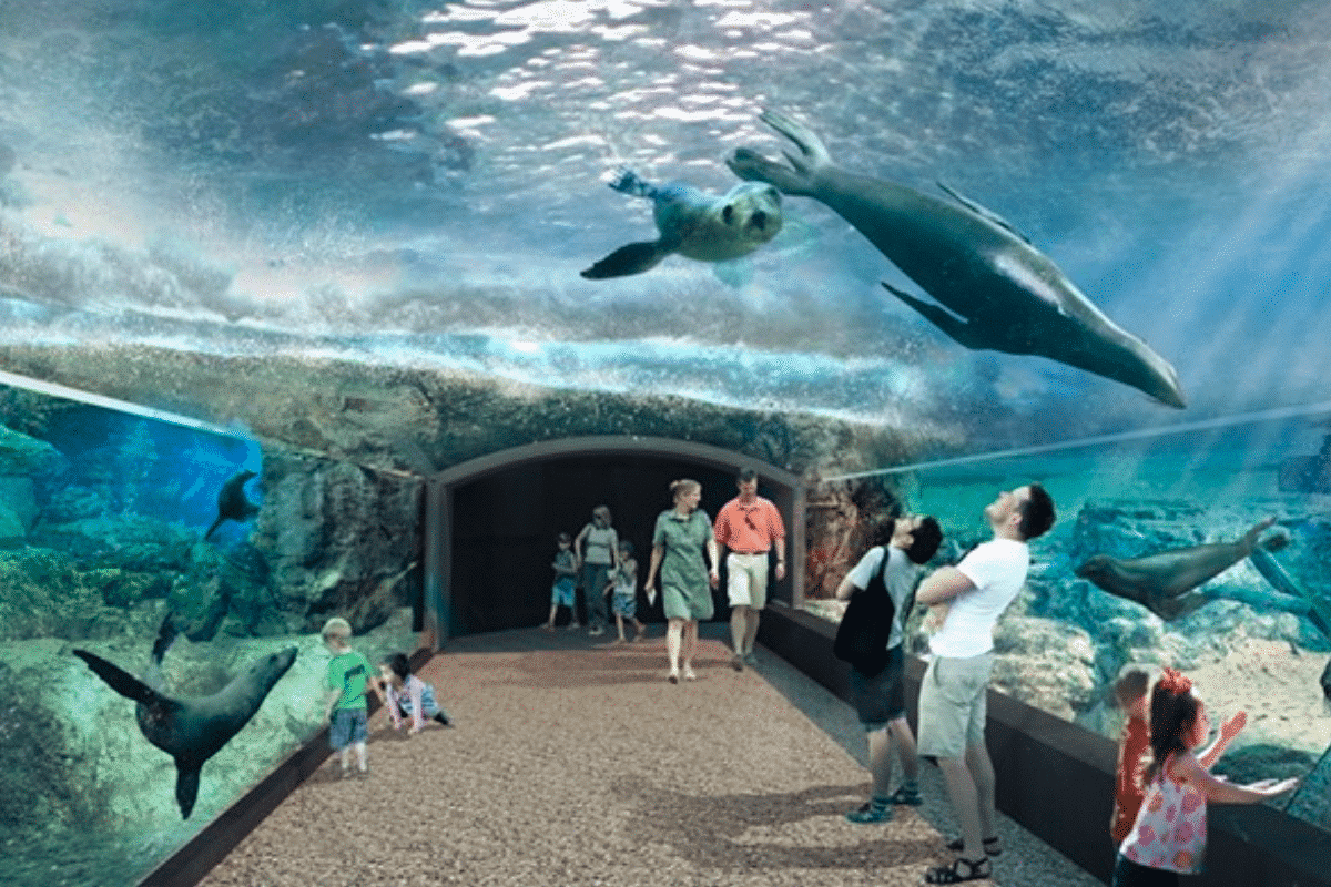 Houston Zoo Debuts Its CuttingEdge New 'Galapagos Islands' Exhibit
