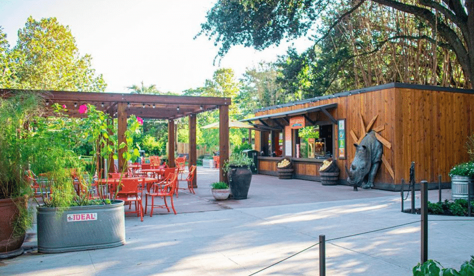Houston Zoo Opens New Flamingo Terrace Beer Garden