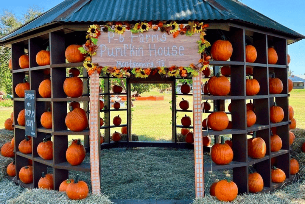 10 Of The Most Smashing Pumpkin Patches In and Around Houston