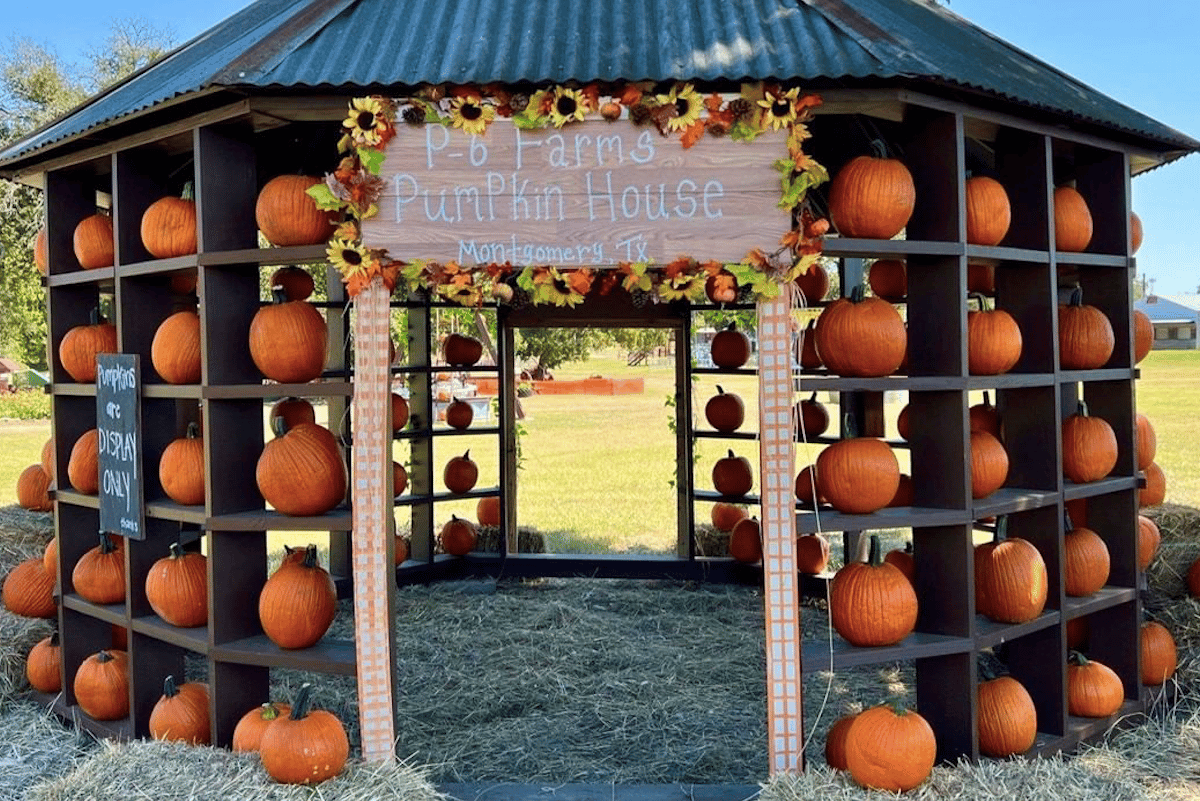 10 Smashing Pumpkin Patches In and Around Houston