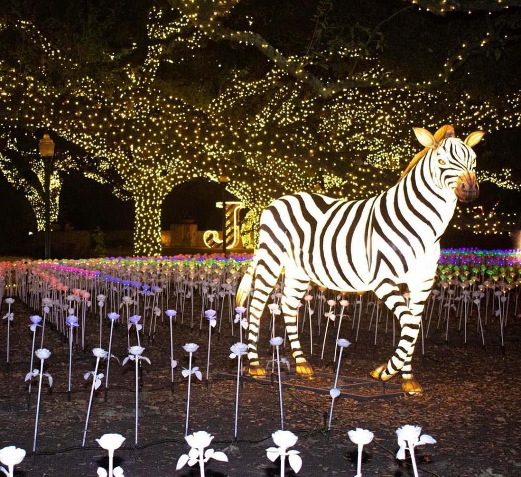 Houston Zoo Lights Has Returned With Spectacular Festivity