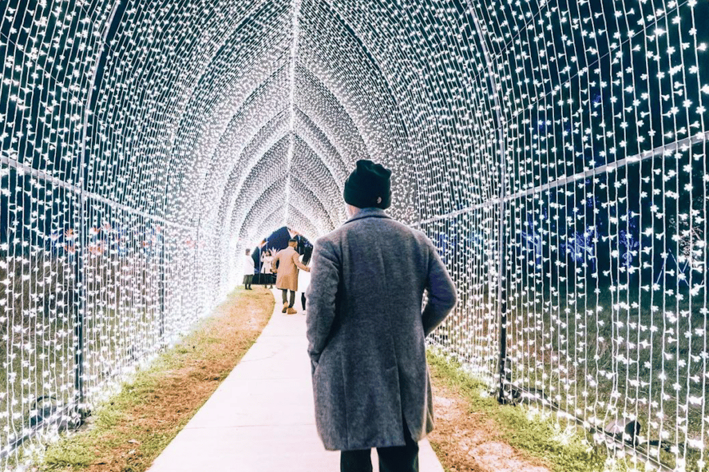 Stroll Through A Tunnel Of Glittering Lights At ‘Lightscape’ Experience At The Houston Botanic Garden