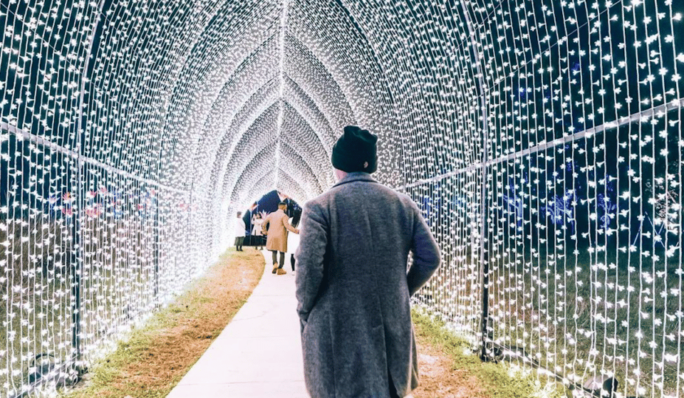 15 Magical Houston Holiday Lights To See In Winter 2022