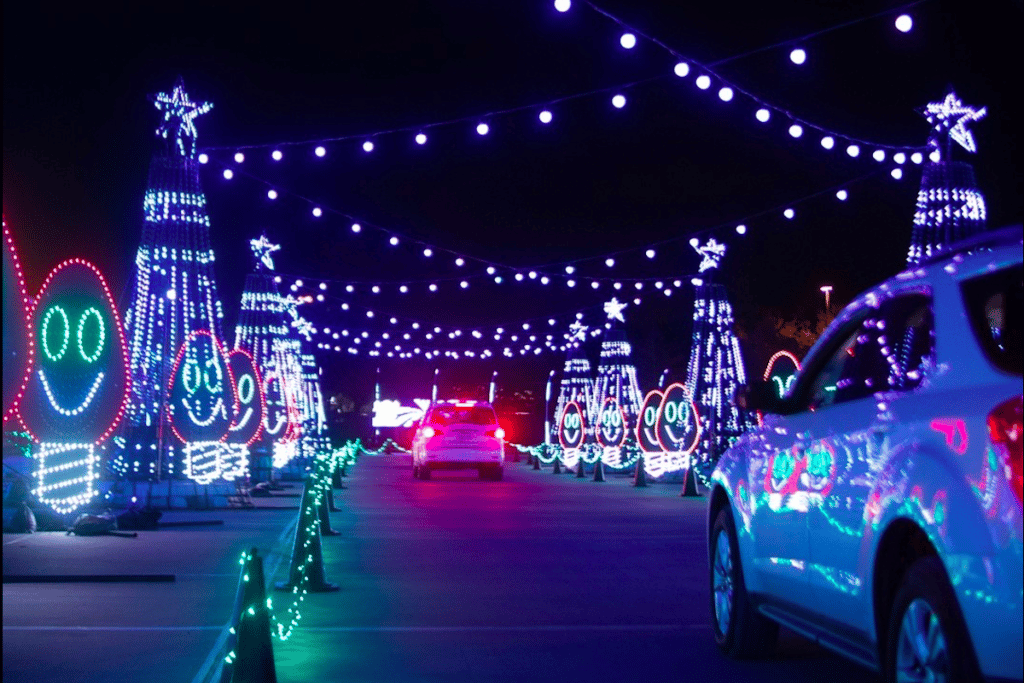 A Drive-Through Holiday Light Park Opens In Houston