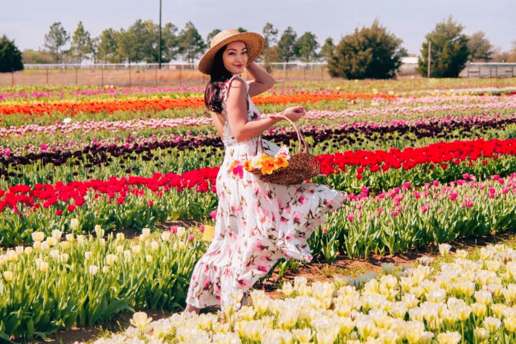 Overflow Your Basket With Dazzling Tulips From This Texas Tulip Field