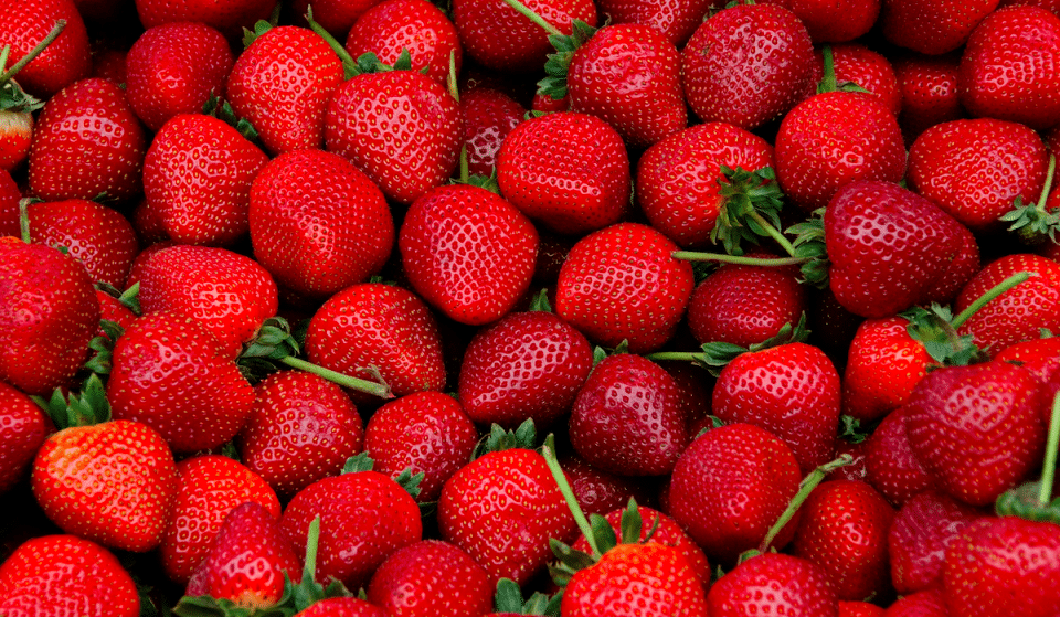 10 Strawberry, Blueberry, And Other Fruit Fields To Pick From Near Houston
