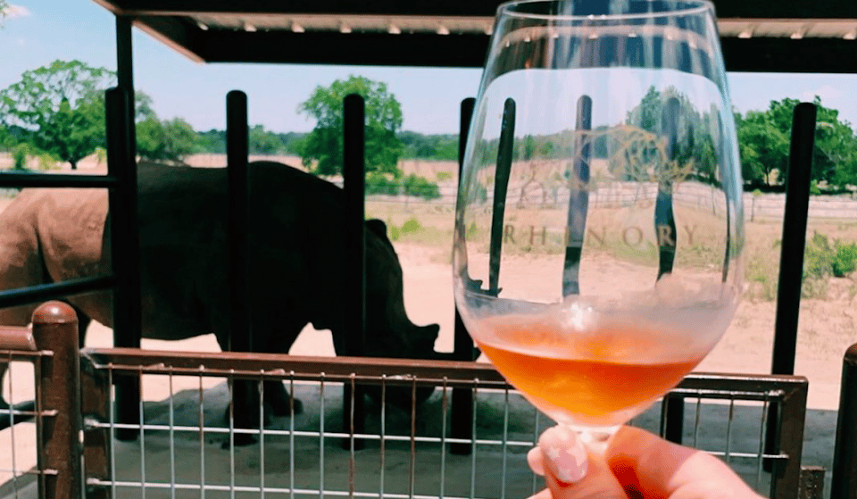 Sip Wine Among Rhinos At This Vineyard And Rhino Reserve In Texas Hill Country