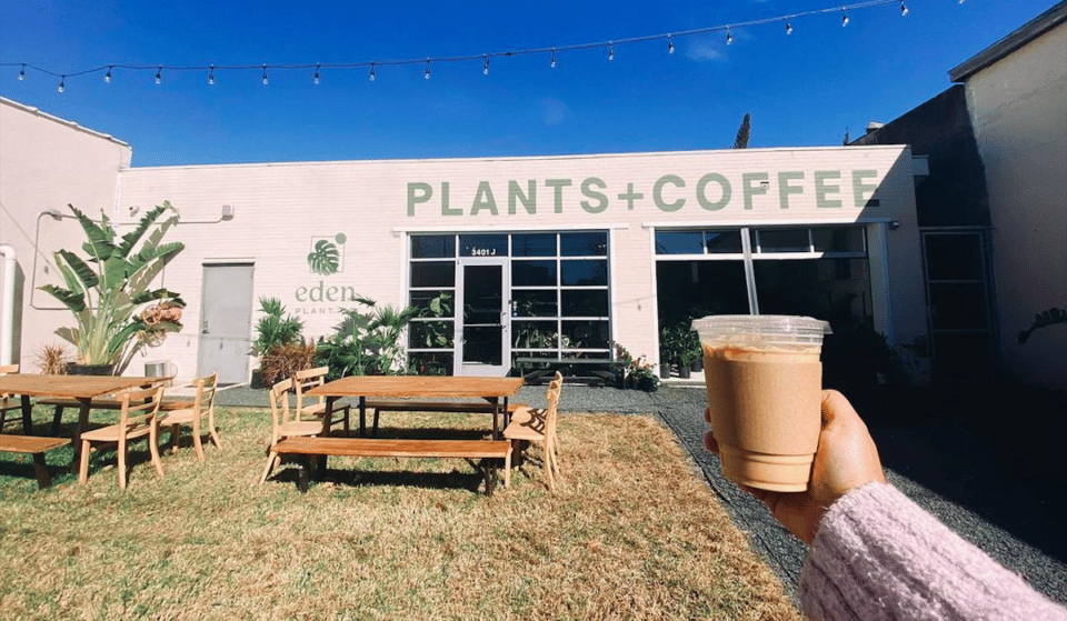 Dig The Vibes At This Cute Plant + Coffee Shop In Houston