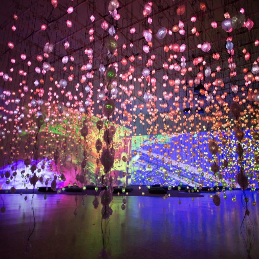 A Dreamlike ‘Pixel Forest’ Exhibit Has Opened In Houston