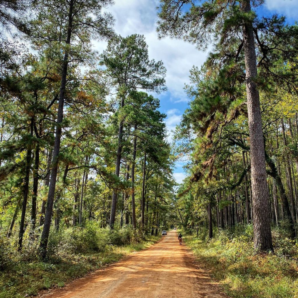 10 Gorgeous Hiking Trails In And Around Houston Secret Houston 