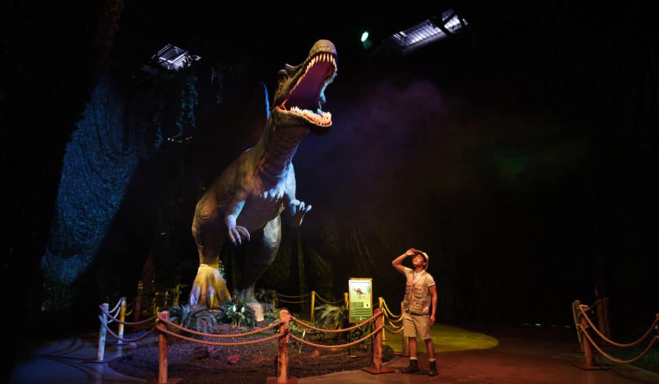 5 Reasons Why You Can’t Miss The Dinos Alive Exhibit in Houston